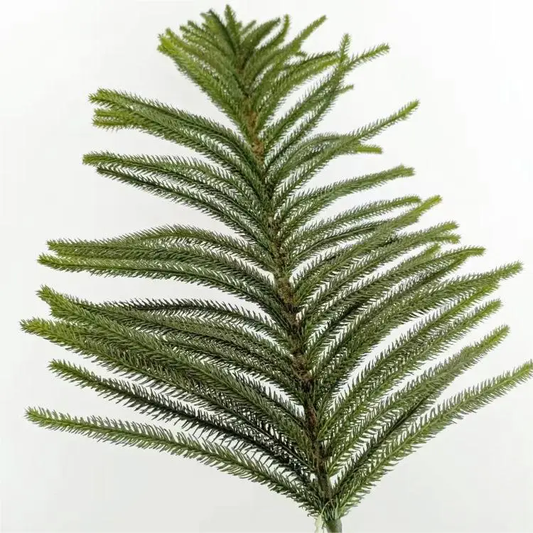 Wholesale A Plastic Artificial Norfolk Pine Stems Touch Soft Green ...