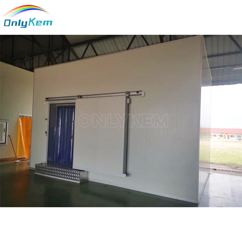 ETL 1 Tons Walk-in Cooler Door and Freezer with Good Insulation for Fish Cold Room Storage