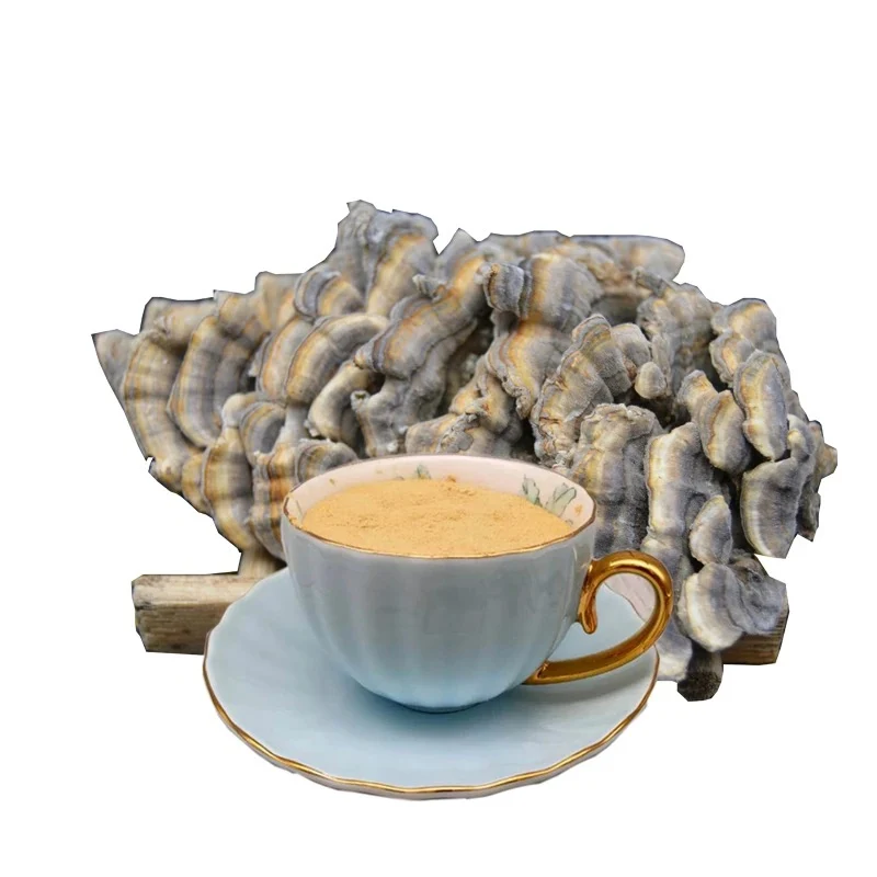 Organic Turkey Tail Mushroom Extract &  Krestin Extract Powder 30% Beta Glucan