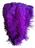 morado