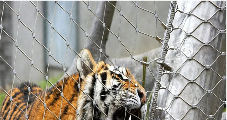 Animal Zoo Stainless Steel Wire Protective Cable Rope Mesh / Cable Mesh Green Plant Climbing Trellis Walls