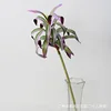 Bambou lys tridimensionnel (24 feuilles violettes)