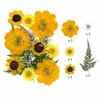 Bright Golden Yellow