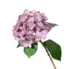 Pink 13