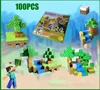 100 pezzi