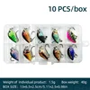 10 pcs/box