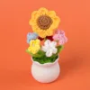 Forget-me-not fleur plante en pot-petit soleil
