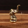Long-nosed elephant