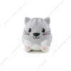 Gatto