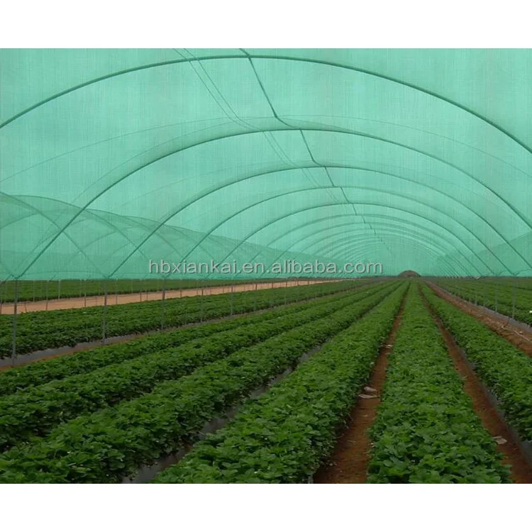 Square or Triangle Sun Shade Sail Garden Car Parking Shading Sail