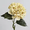 Giallo menta