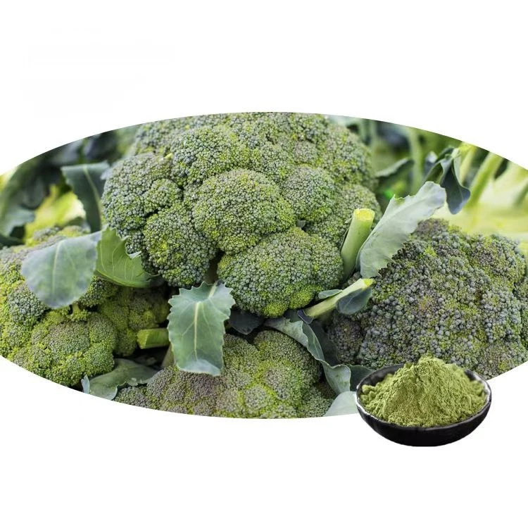 Broccoli Powder Wholesale | Bulk Broccoli Supplier H07ca9ad51a0a4417a269dc14bc8ef9aaH