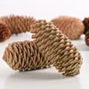Balances pomme de pin, 7-9cm,5pcs/sachet
