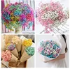 white red pink blue 60-70 cm