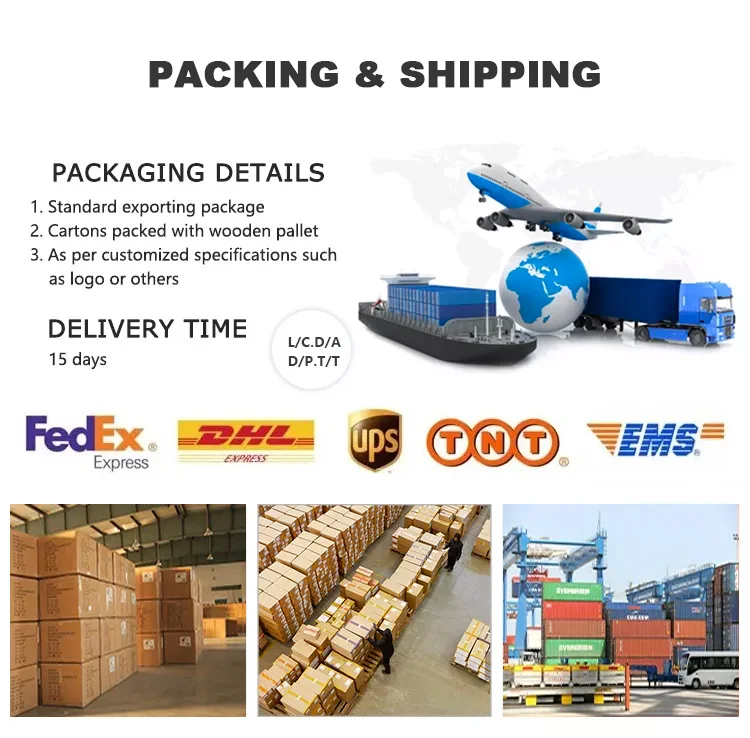 Outdoor Extra Large 10 People Family Cabin Tent 2 Room 1 Living Room