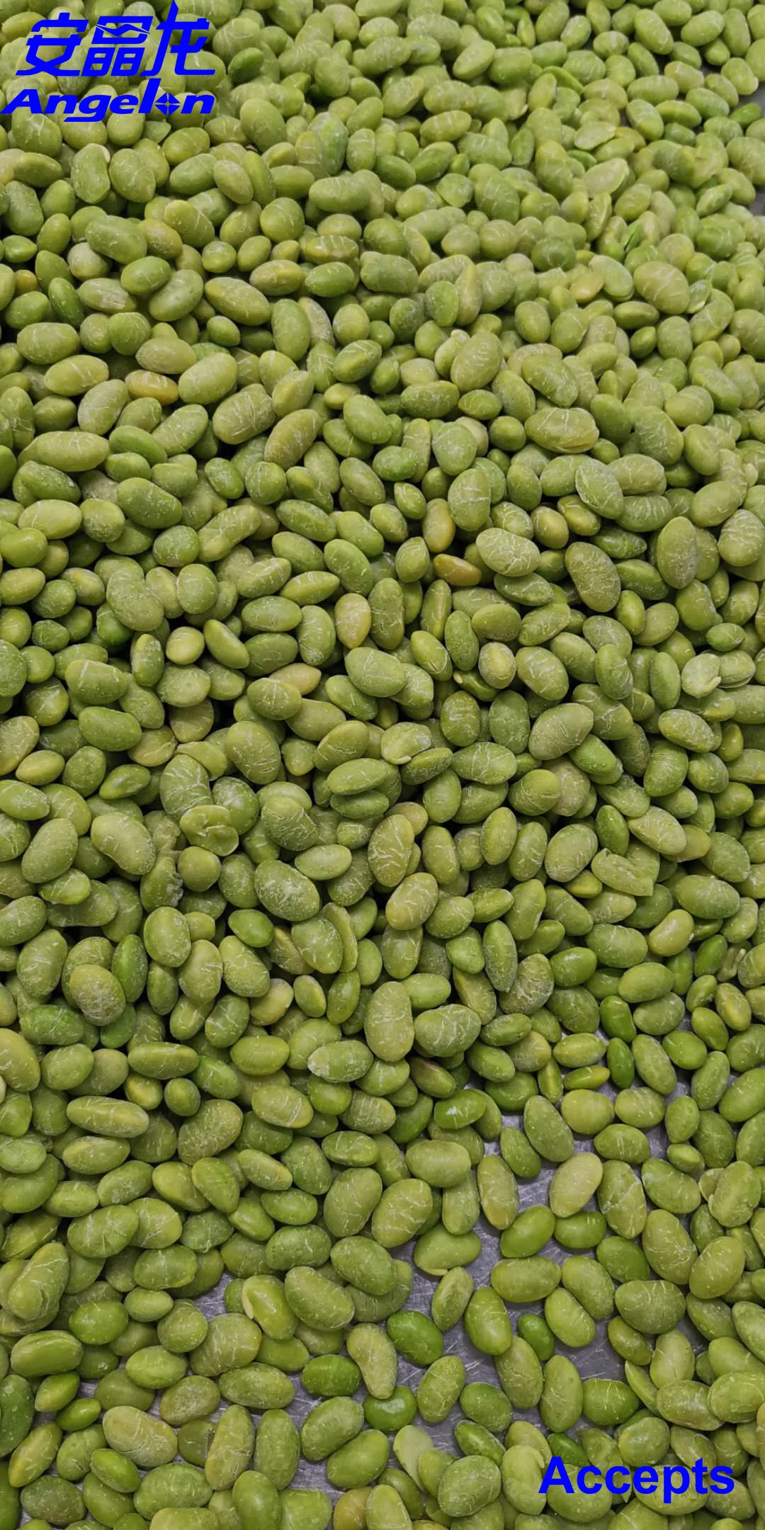 Coffee Beans Sorter Color Sorting Machine