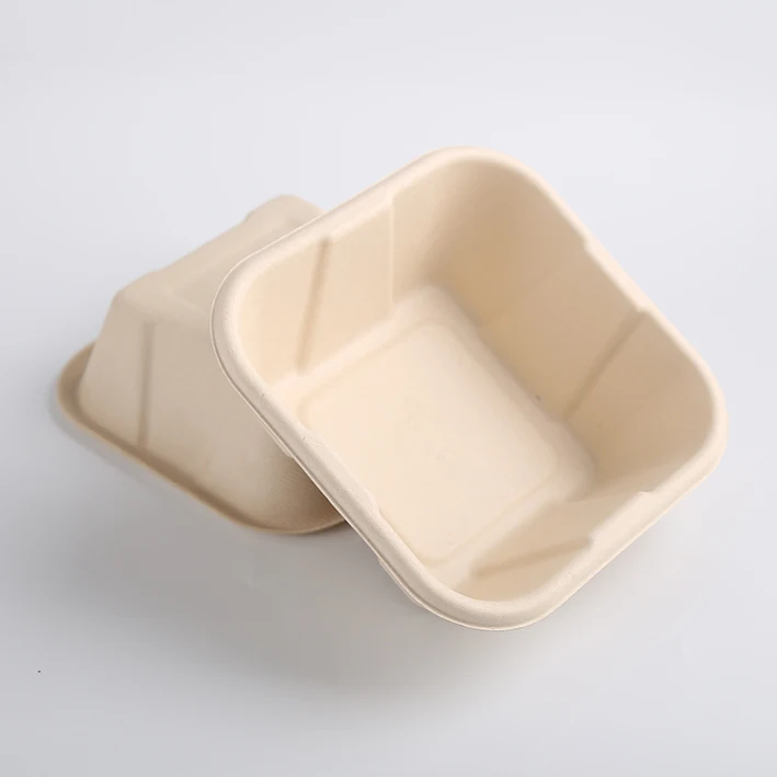 OEM ODM Biodegradable Disposable Sugarcane Bagasse Paper Pulp Mould ...