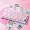 Rosa Sakura