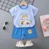 Orso K29-m