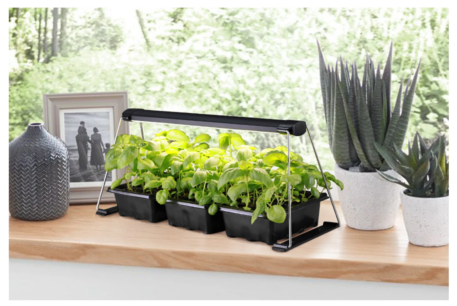 Diy Indoor Plant Stand With Full Spectrum Grow Light With Timer Growing Lamps Led Grow Light