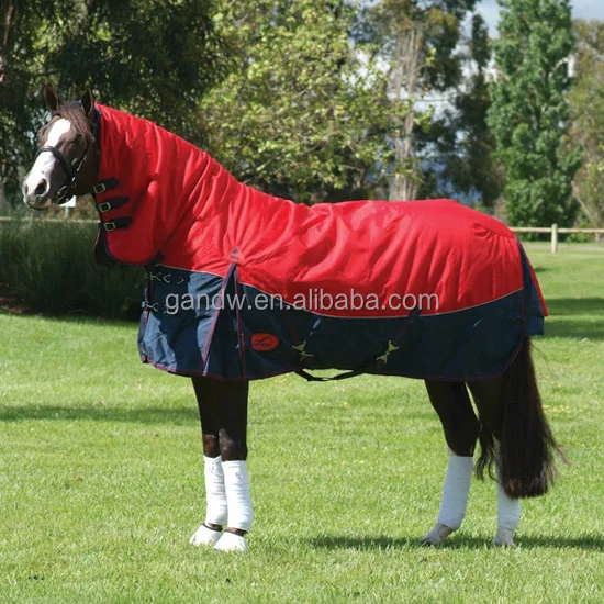 Camisa De Caballo Regalo Para El Amante De Los Caballos - España