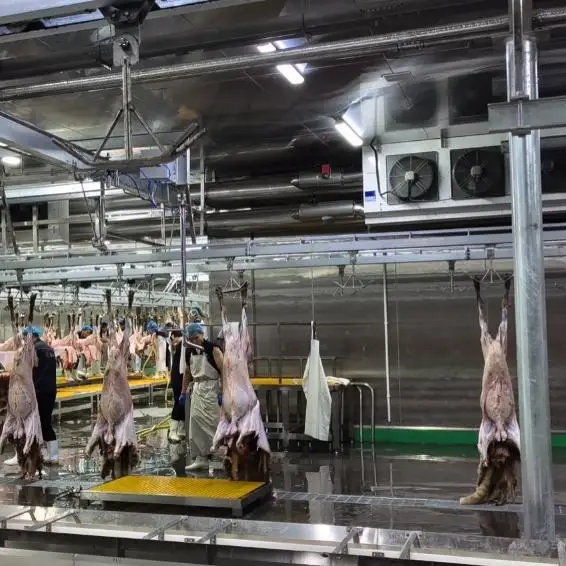 Halal mutton and goat slaughtering line, suitable for mutton processing plants and slaughterhouse projects