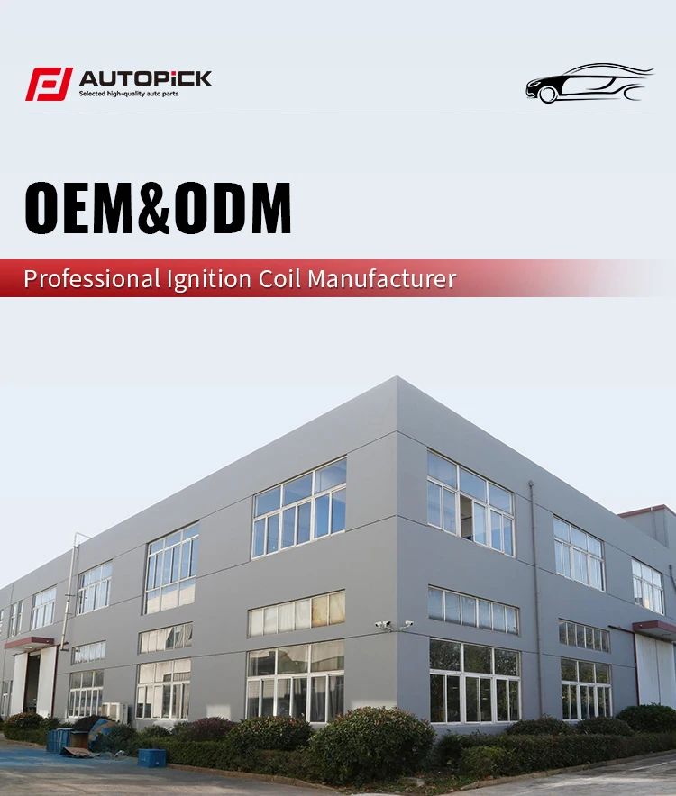 In Stock Factory Popular Desiqn Ignition Coils OEM 90919 C2007 90919C2007 90919-C2007 for TOYOTA Ignition Coil Auto Parts manufacture