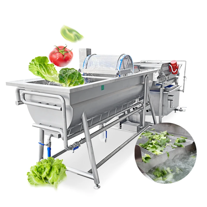 Commercial Ozone Bubble Fruit Vegetable Washing Machine