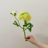 สีเขียว