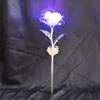motioned light rose only