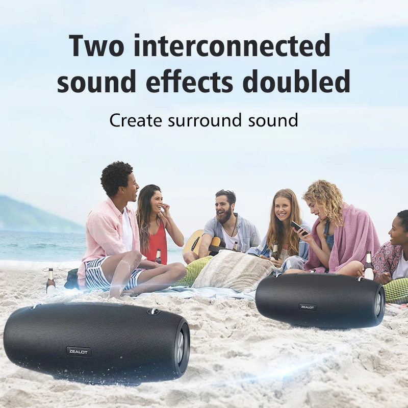 ZEALOT S67 Portable Speaker with Two Wireless Microphones and Shoulder Strap Support TWS, AUX In, USB, Bass and Treble for Party