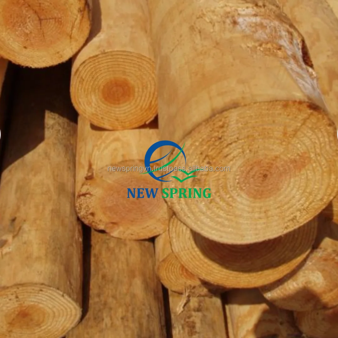 Bamboo Cane Bambu Stick Bamboo Pole For Plant Support Rods Or Bamboo