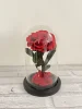 rosso scuro (10*18 cm)