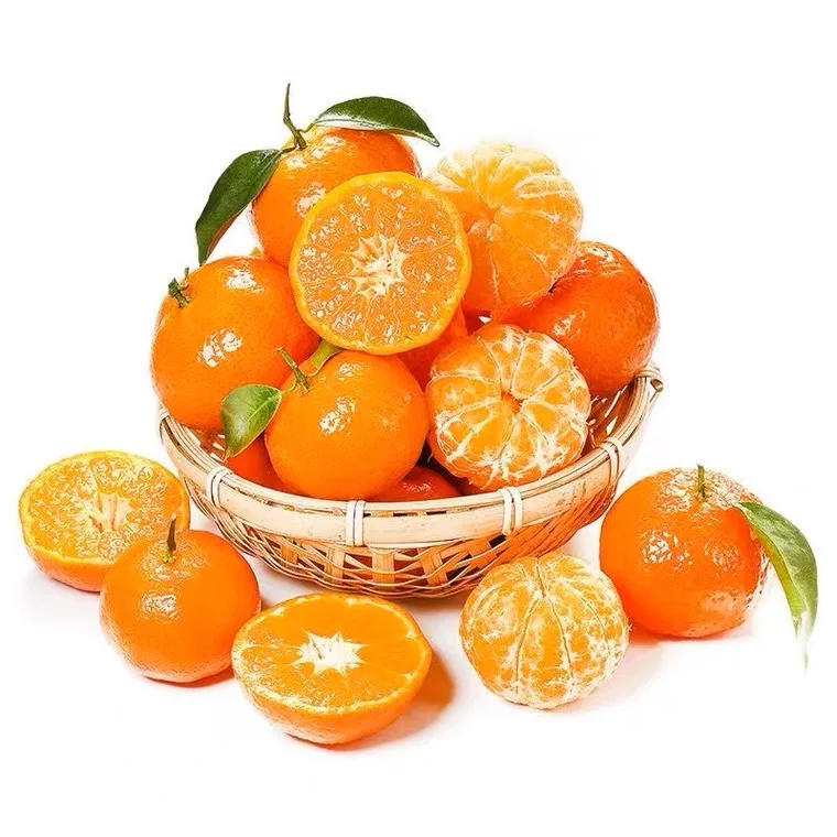 Fresh Citrus Fresh Orange Available All Year Round Delicious And Juicy