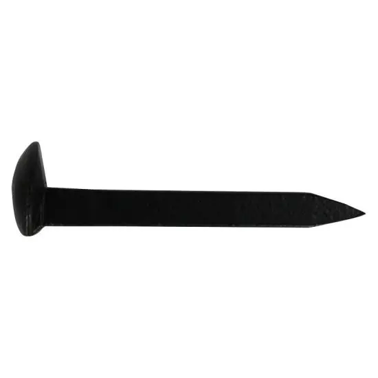 Rail-Spike-in-Ss41.jpg