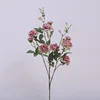 Lotus root purple