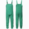 Menthe