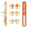 Maple Vine - No. 3