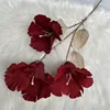 3 rojo oscuro