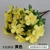 Yellow Six-Forked Rhododendron