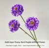 Peonia viola intenso con petali a strati