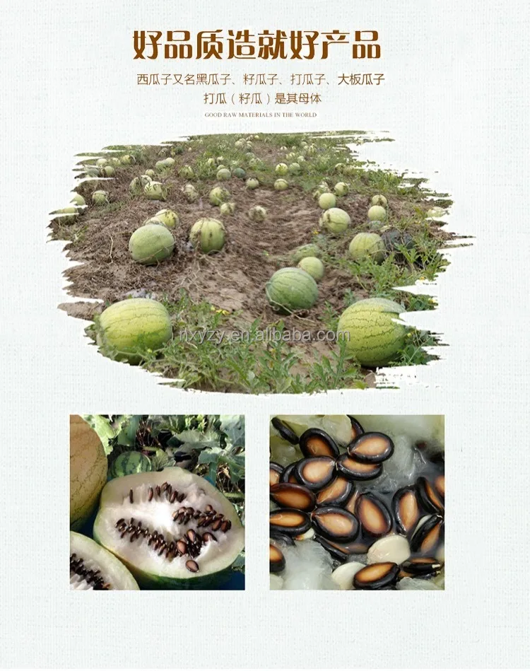 Finest Quality Watermelon Seed Factory Price Water Melon Seeds