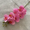 Rosa-1