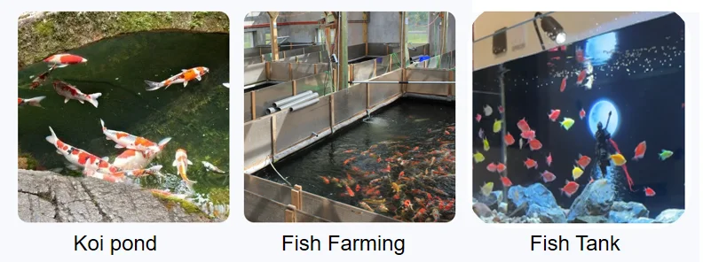 Factory  Supply Jebao MLW Smart WiFi Series Modern Silent Eco-friendly Water Pump for Fish Tank Waterscape Circulation Pumps