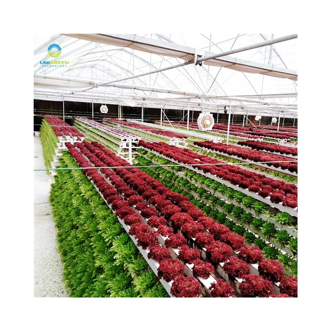 A Type Hydroponic System Vertical Hydroponics Setup PVC NFT Farming Multilayer Growing Rack for Greenhouse Strawberry Lettuces