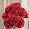 Rojo