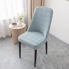 Camphor Tree - Sea Blue
