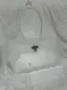 ทีพียู ลายหนังจระเข้สีขาว