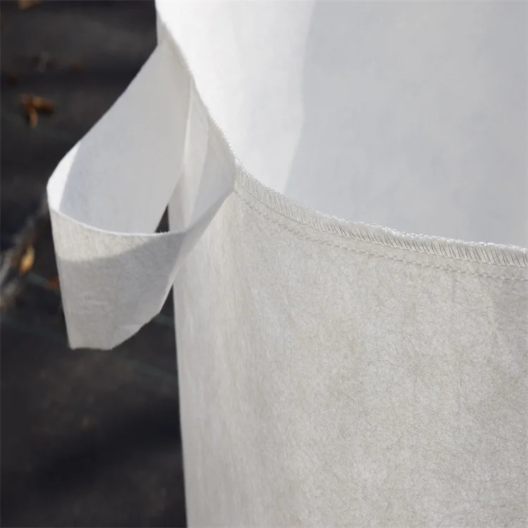 10 Gallon Non-woven Fabric Biodegradable Soilless Culture, Strawberry Mushroom Plant Felt Plant Growth Bag