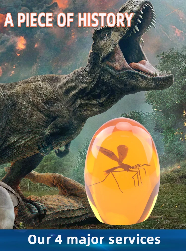 Hot Sell Custom Amber Paperweight with Mosquito Inside